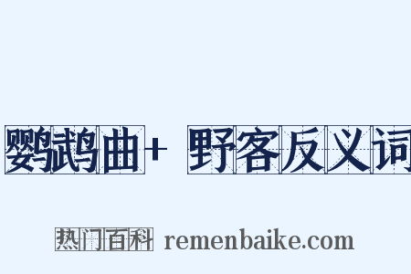 鹦鹉曲+野客反义词是什么意思的图片
